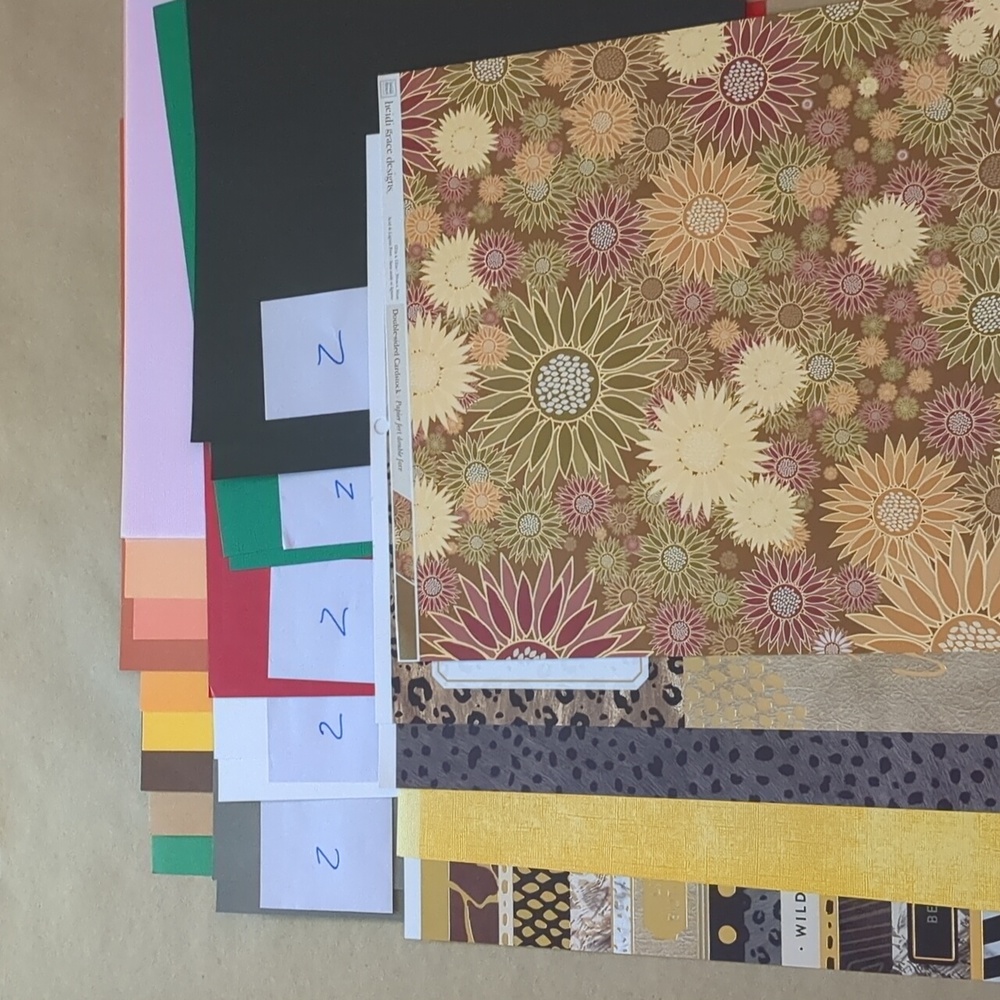 25 Sheets of Cardstock